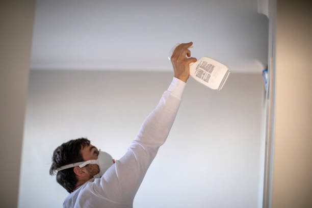 Best Bathroom Mold Remediation in Little Silver, NJ